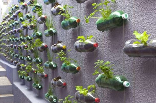 Урбана вертикална градина во шише